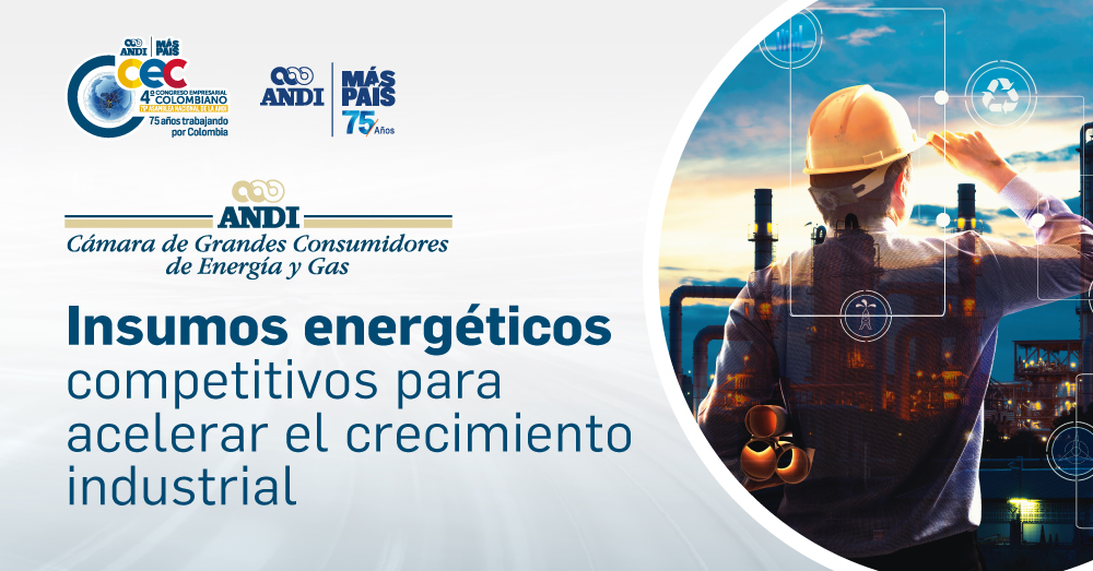 Grandes consumidores